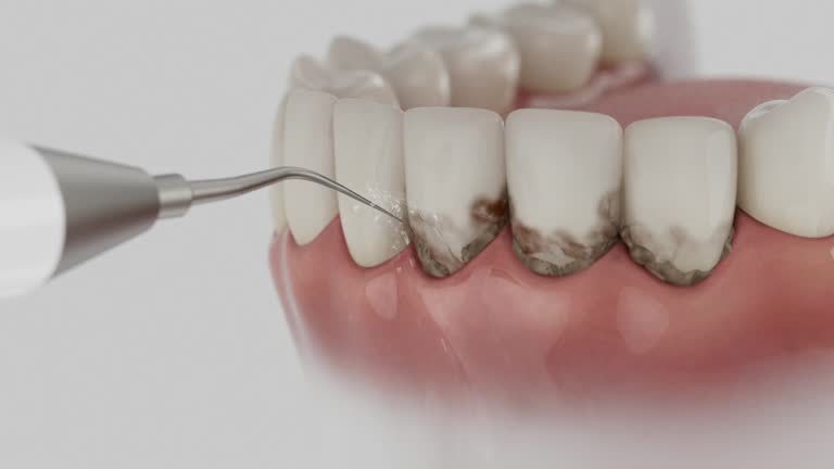Reliable Dental contractor in Houston, MO by Dentist Open Now